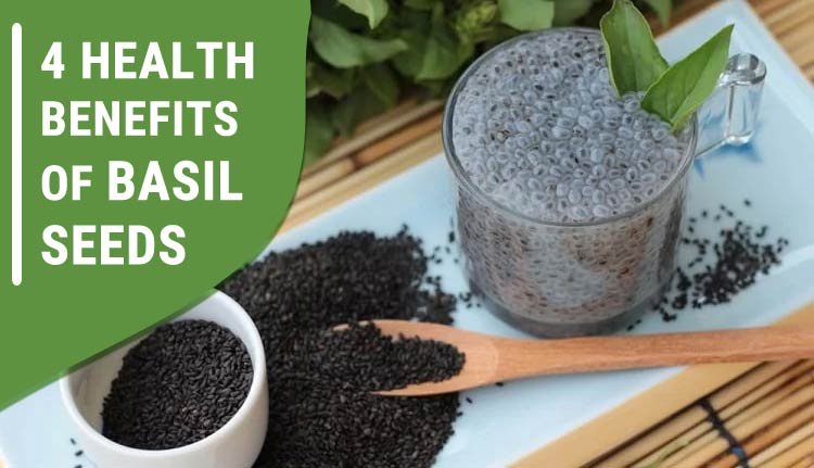 4 Fascinating Benefits of Basil Seeds Sabja Seeds Shikha Diet