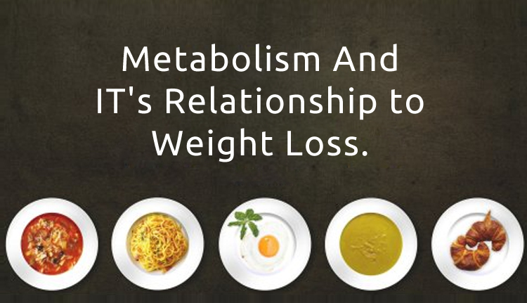 metabolism-and-weight-loss